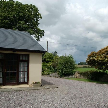Inisfail Apartment Killarney Bagian luar foto